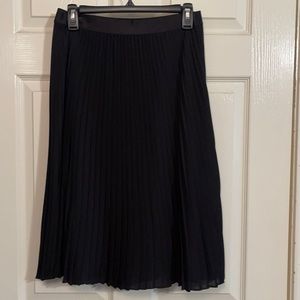 Pleated A-line Satin Waisted Skirt